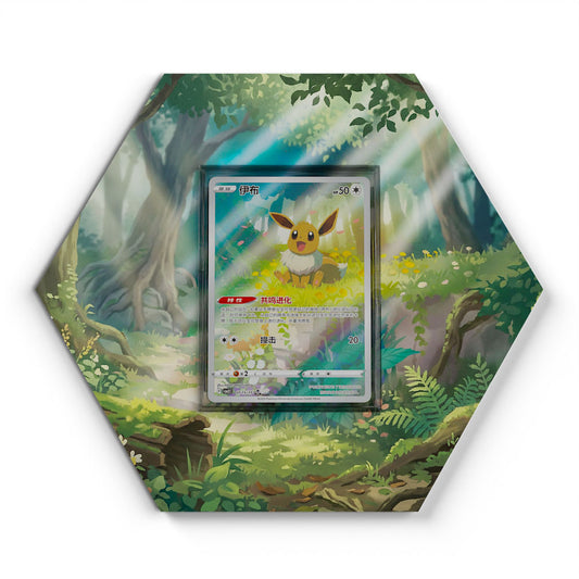 01 Evoli CBB2C - Extended Artwork Pokemon Card Display