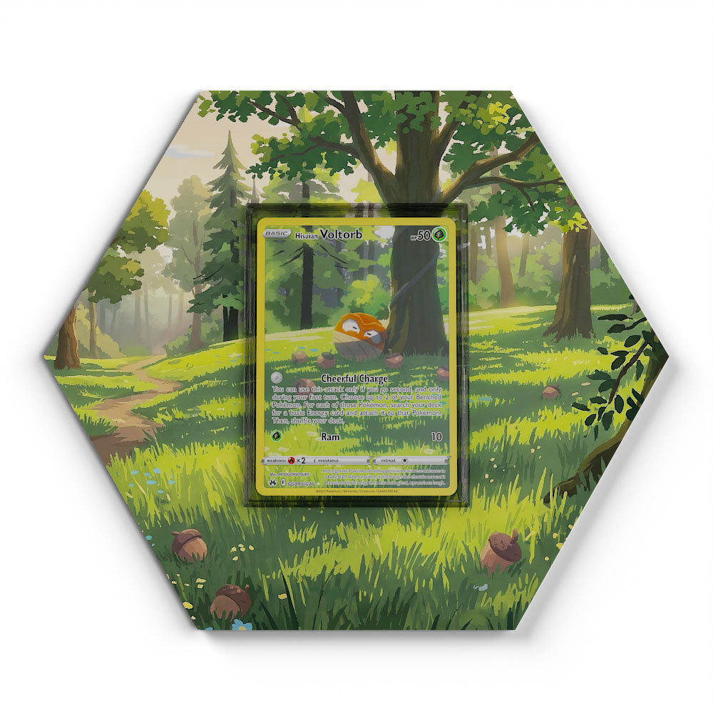 GG01/GG70 Hisuian Voltilamm - Extended Artwork Pokemon Card Display