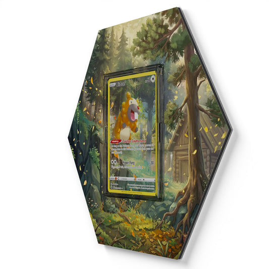 GG29/GG70 Bidiza - Extended Artwork Pokemon Card Display
