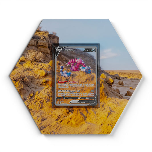 GG49/GG70 Piondragi V - Extended Artwork Pokemon Card Display