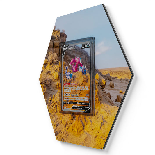 GG49/GG70 Piondragi V - Extended Artwork Pokemon Card Display