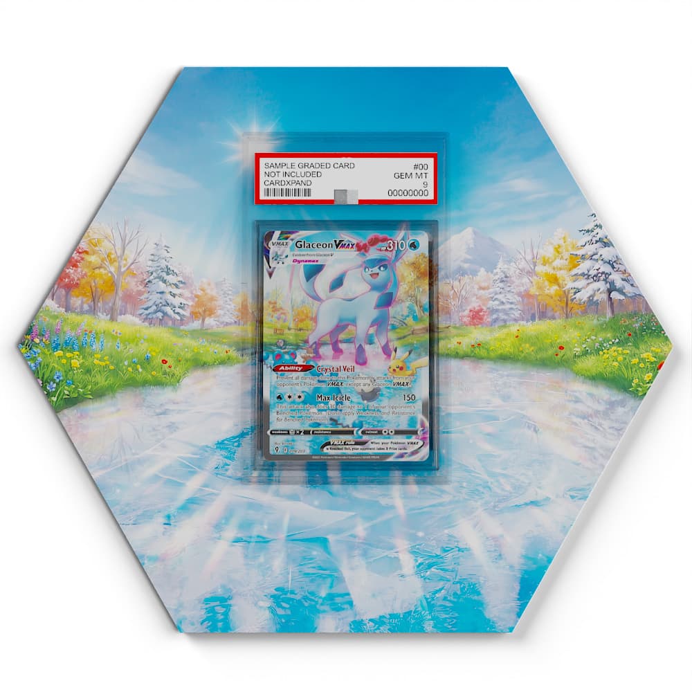 209/203 Glaziola VMAX - Extended Artwork Pokemon Card Display