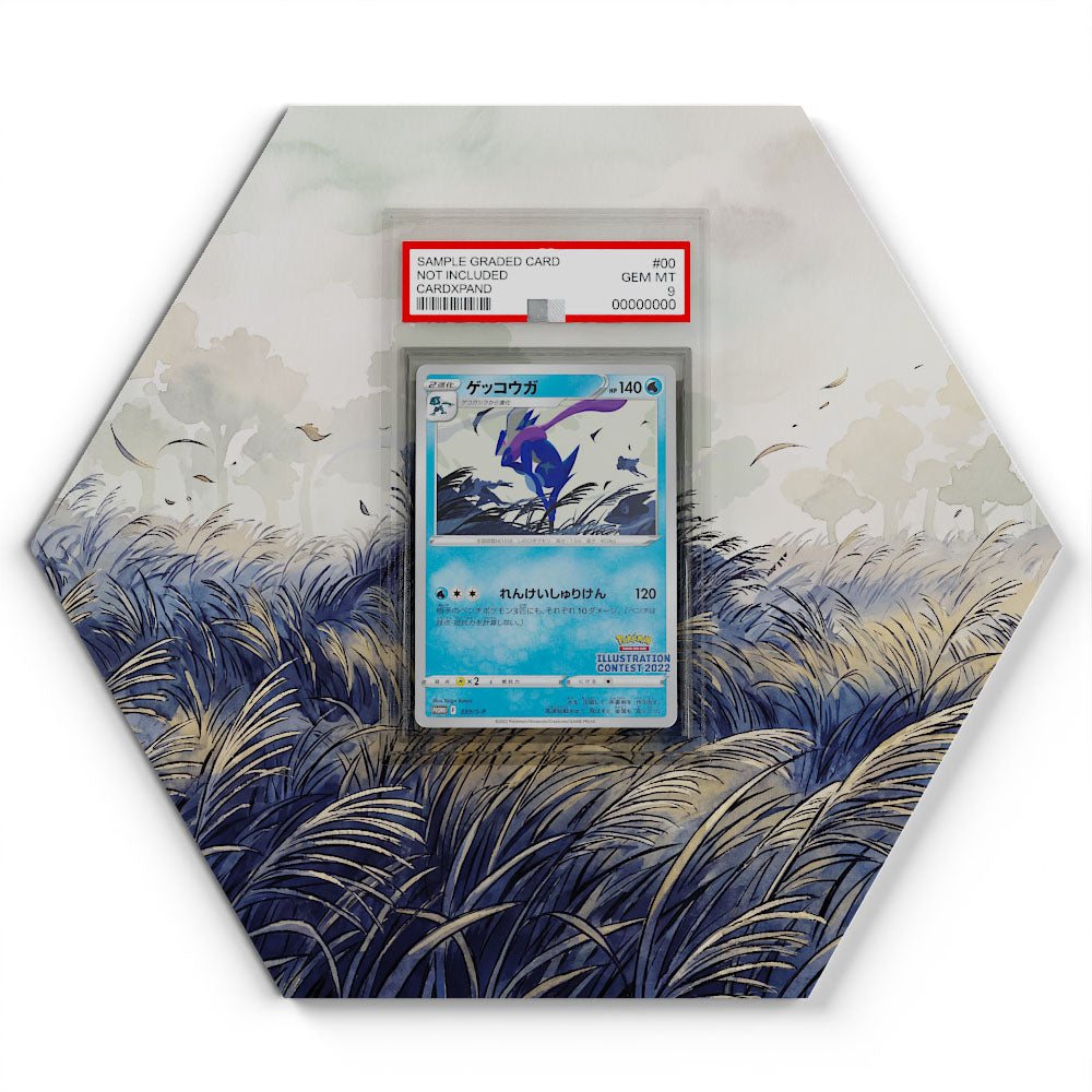 339/S-P Quajutsu - Extended Artwork Pokemon Card Display