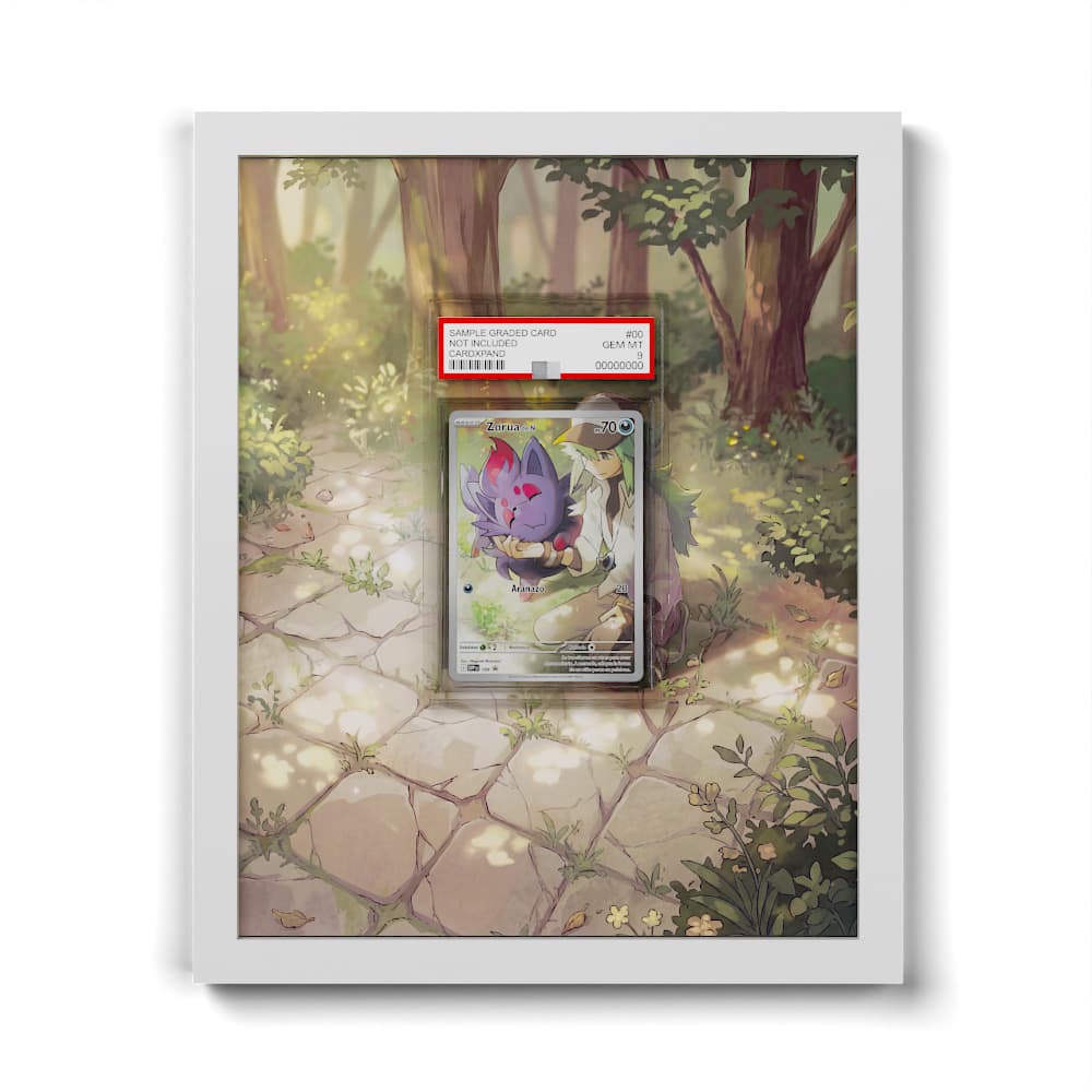 189 Ns Zorua - Extended Artwork Framed Pokemon Card Display