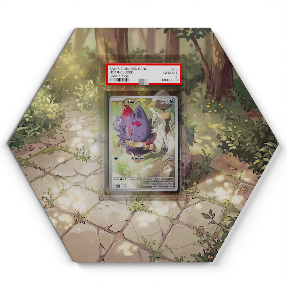 189 Ns Zorua - Extended Artwork Pokemon Card Display