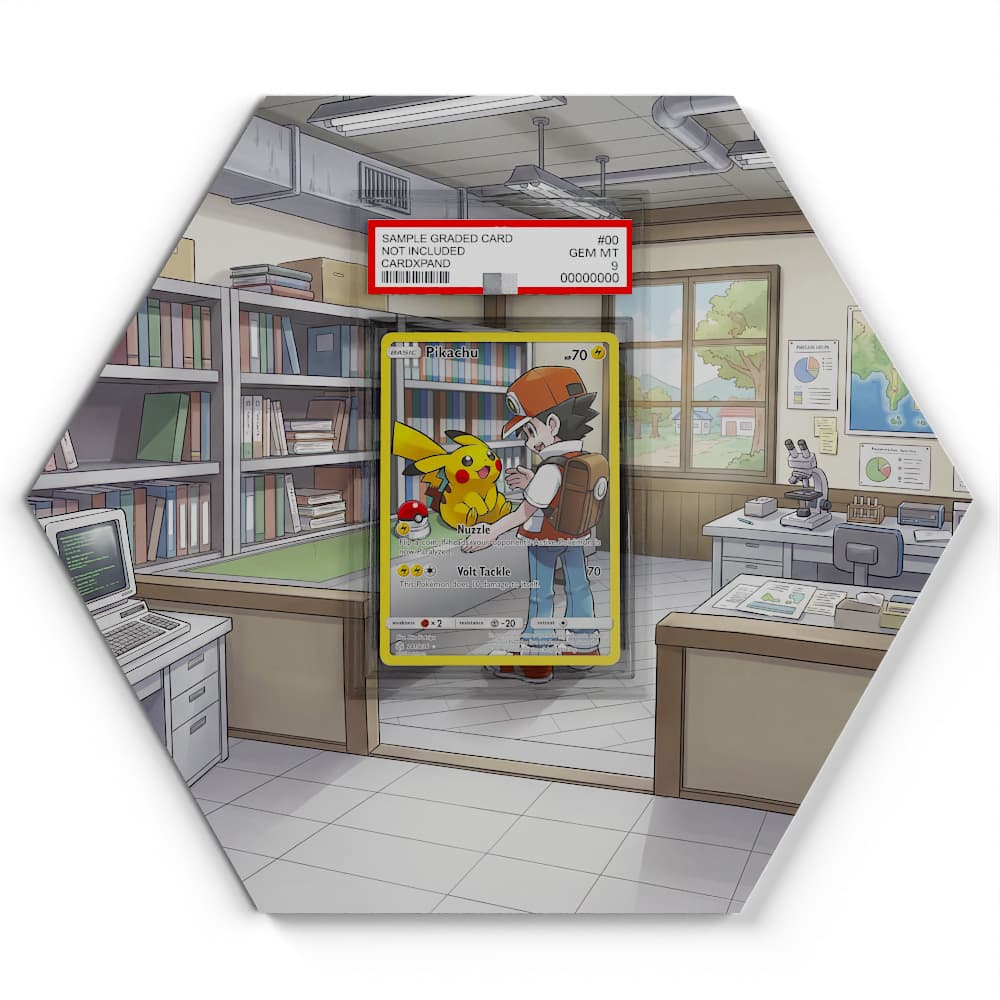 241/236 Pikachu - Extended Artwork Pokemon Card Display