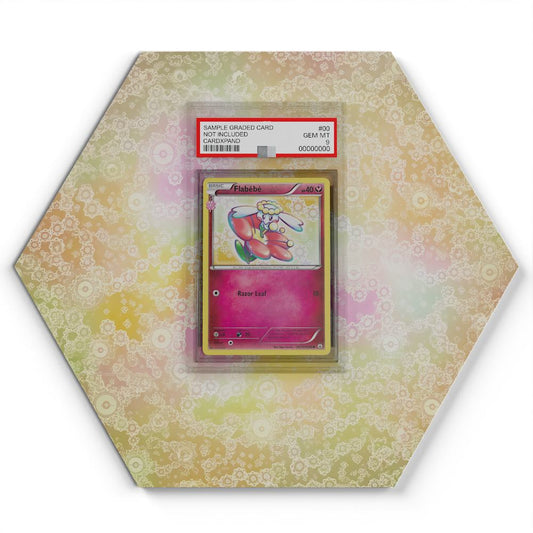 105 Branawarz - Extended Artwork Pokemon Card Display