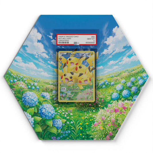 105 Branawarz - Extended Artwork Pokemon Card Display