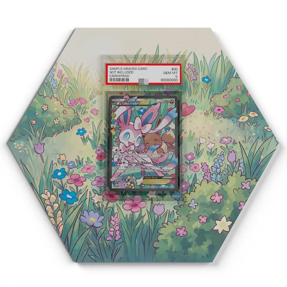 105 Branawarz - Extended Artwork Pokemon Card Display