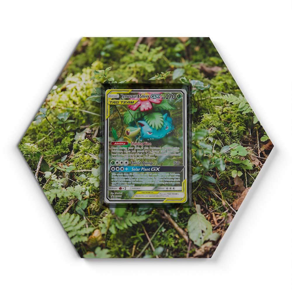 SM229 Venusaur & Snivy GX - Extended Artwork Pokemon Card Display
