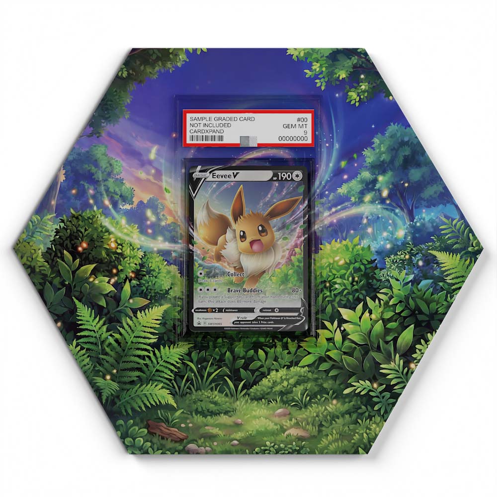 105 Branawarz - Extended Artwork Pokemon Card Display