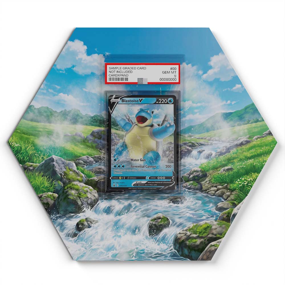 105 Branawarz - Extended Artwork Pokemon Card Display