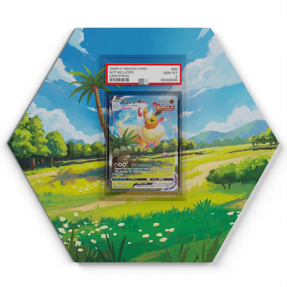 105 Branawarz - Extended Artwork Pokemon Card Display