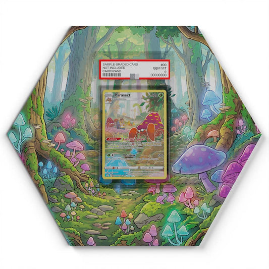 105 Branawarz - Extended Artwork Pokemon Card Display