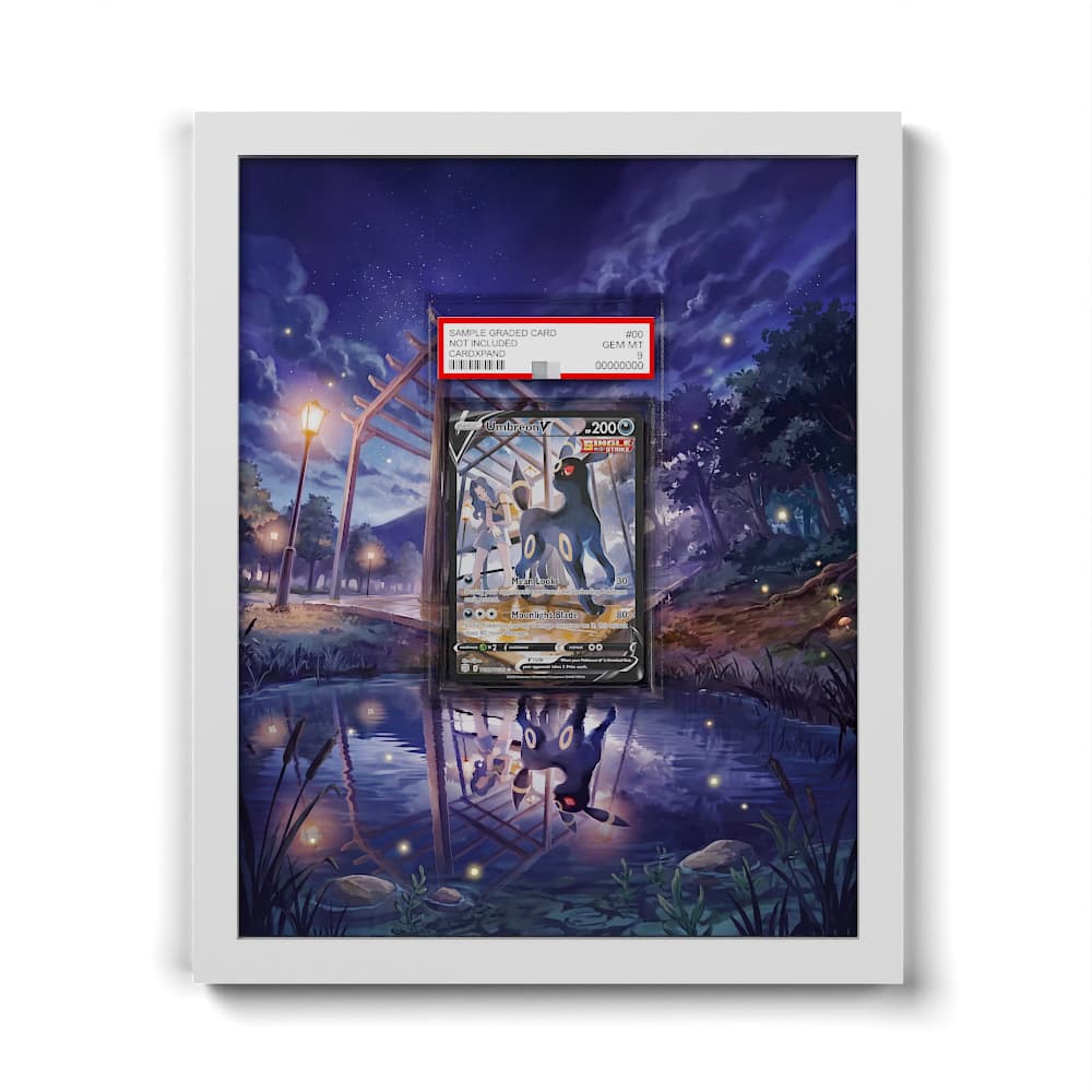 TG22/TG30 Nachtara V - Extended Artwork Framed Pokemon Card Display