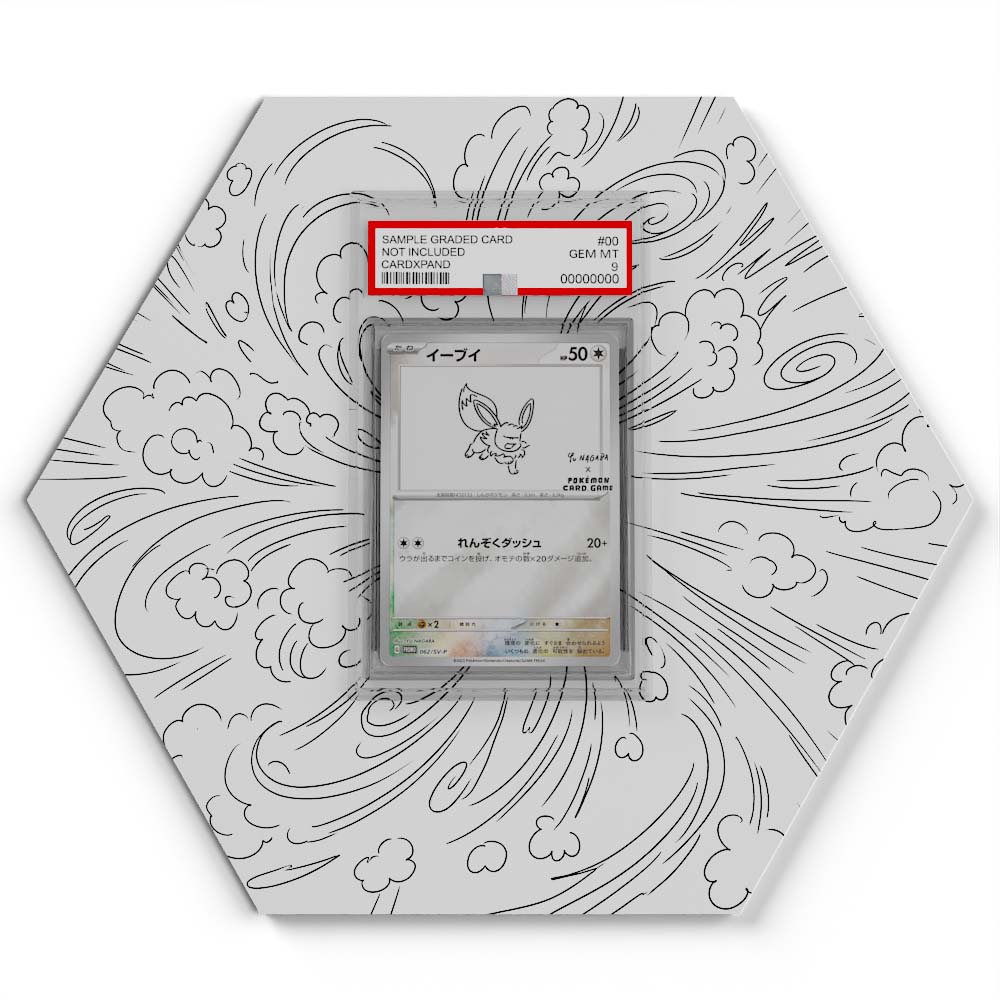 064 Eevee - Extended Artwork Pokemon Card Display