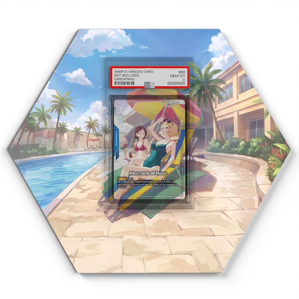 105 Branawarz - Extended Artwork Pokemon Card Display