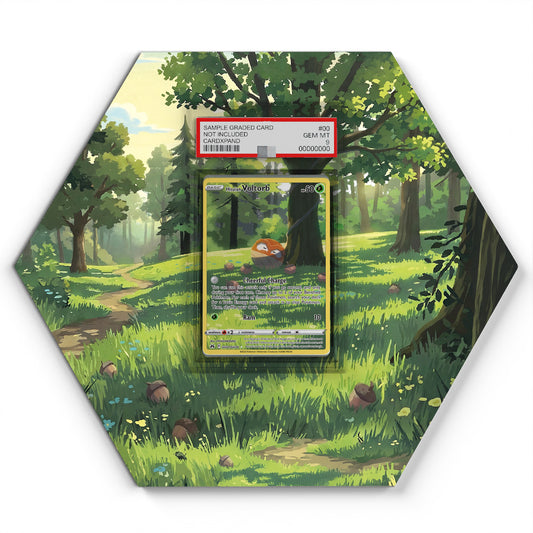 GG01/GG70 Hisuian Voltilamm - Extended Artwork Pokemon Card Display