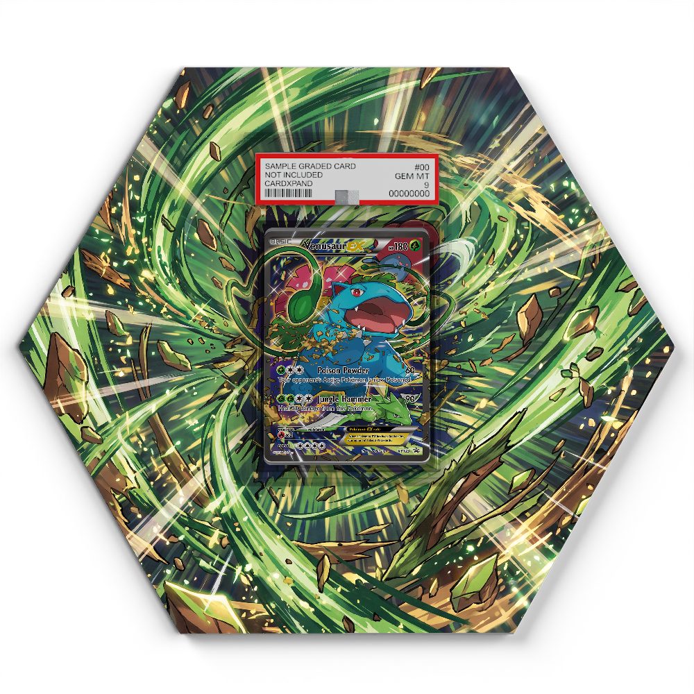 105 Branawarz - Extended Artwork Pokemon Card Display